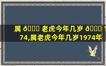 属 🐛 老虎今年几岁 🐛 1974,属老虎今年几岁1974年出生